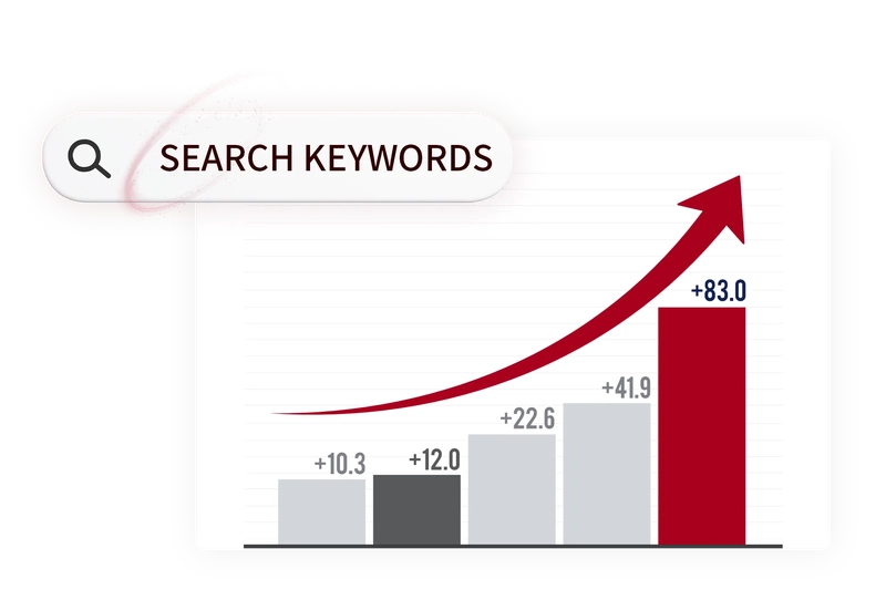 Comprehensive website assessment and analysis